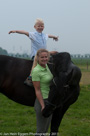 Fotoshoot Paarden